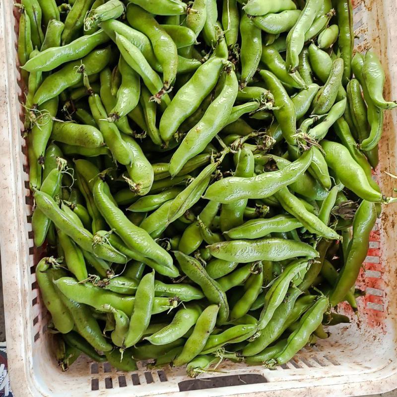 青豆大量上市产地自销货源充足欢迎进店选购