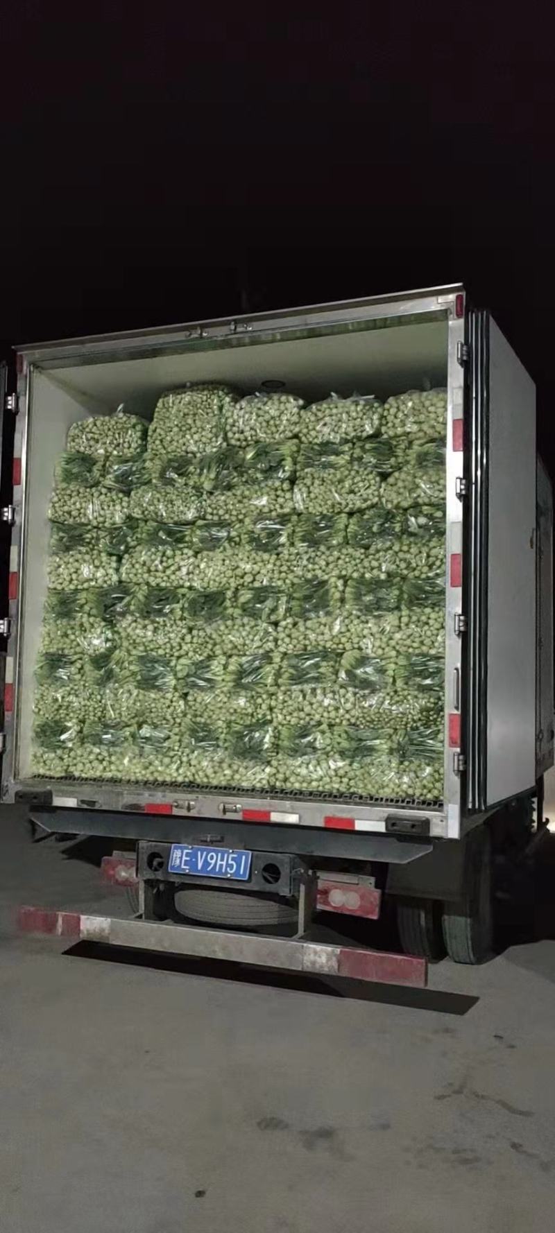 【牛商推荐】精品安徽上海青叶菜万亩大棚种植基地一手货源