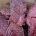 五香麻辣大块肉，里脊大块肉，颜色好，味道好，干度也好