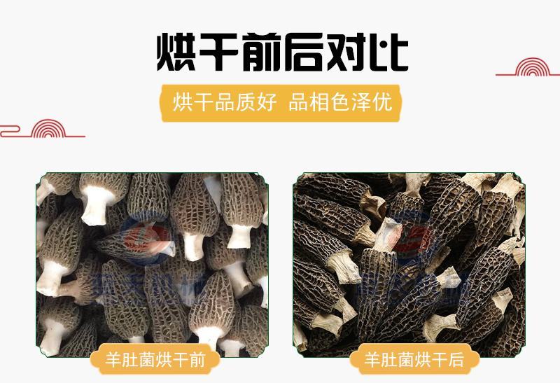 羊肚菌烘干机电加热小型香菇蘑菇松茸农产品烘干房智能家用