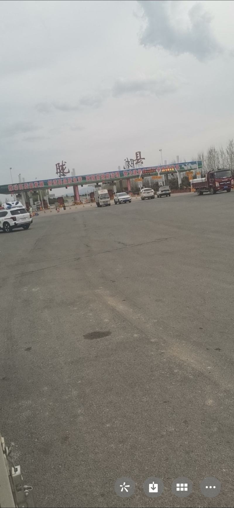 四季蒜苗，大白蒜苗，红根蒜苗