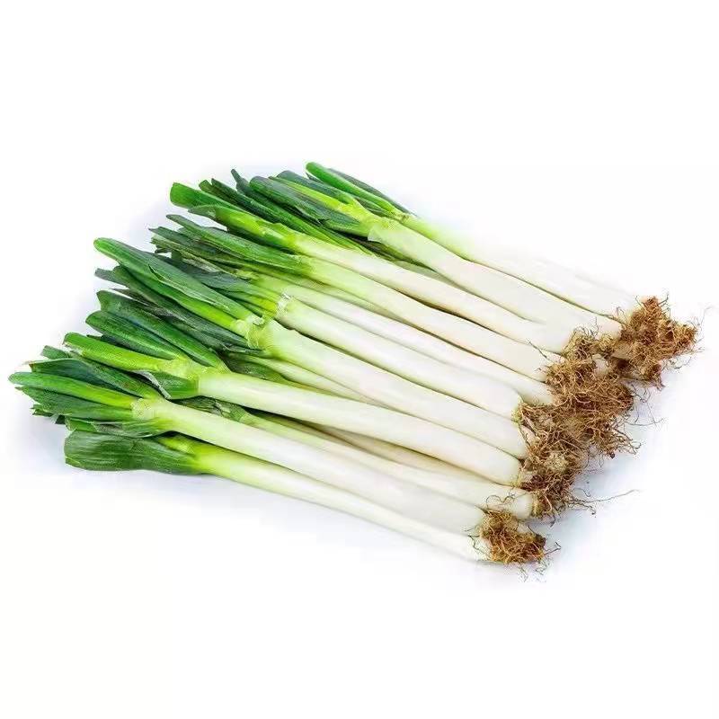 陕西大葱新鲜非河南东北山东葱去半叶带皮带根毛葱炒菜配料葱