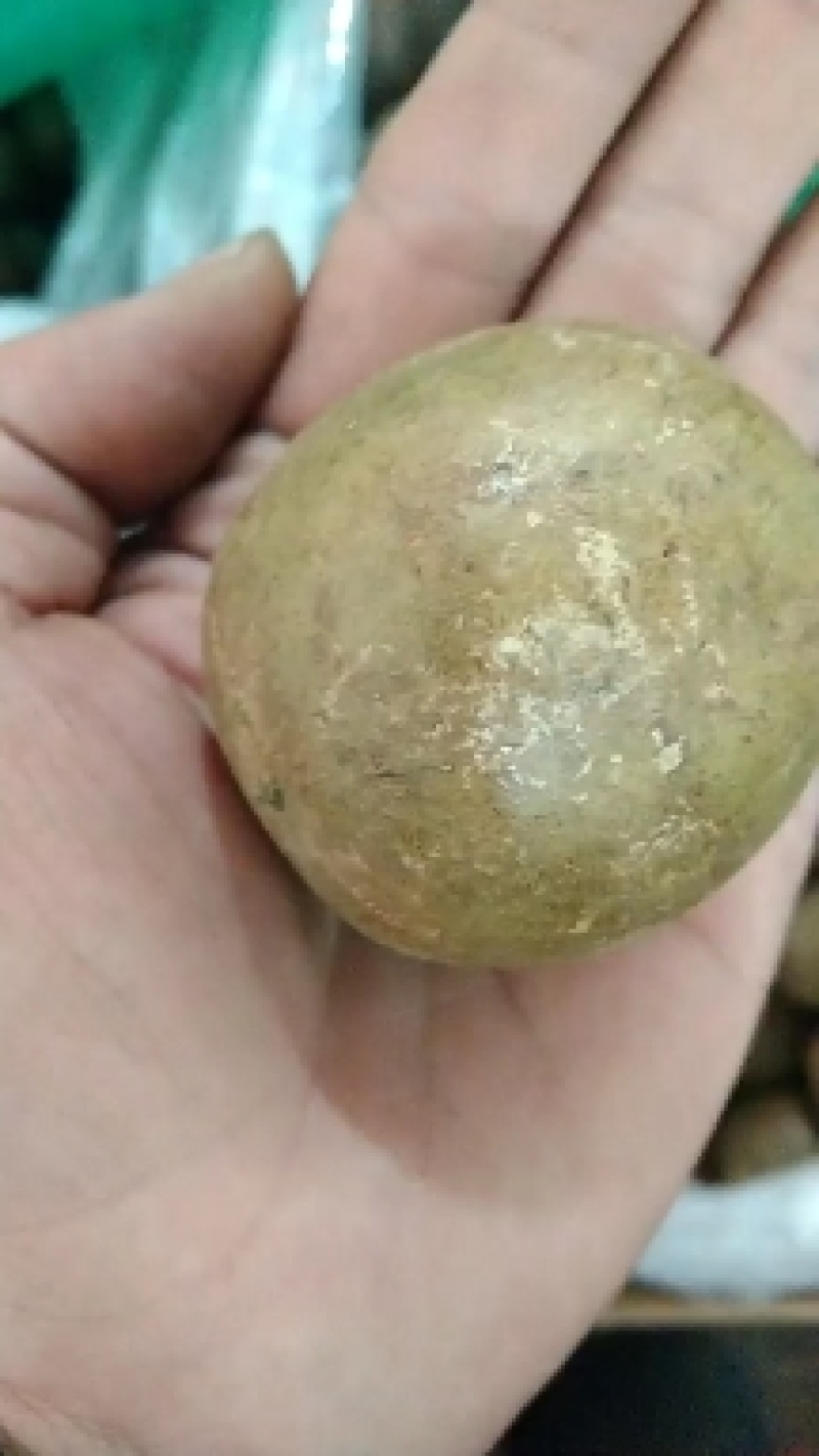 广西永福罗汉果今年新货大量上市大中小各规格齐全