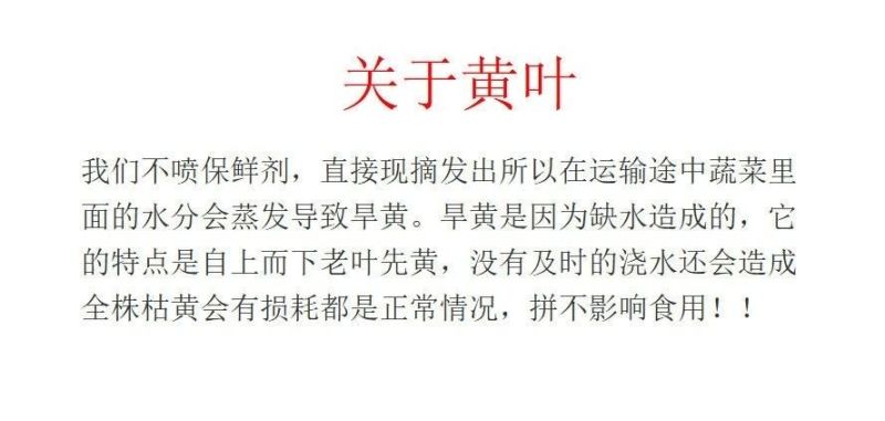 陕西大葱新鲜非河南东北山东葱去半叶带皮带根毛葱炒菜配料葱