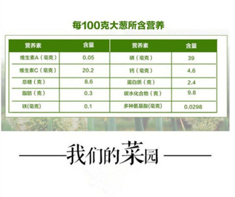 陕西大葱新鲜非河南东北山东葱去半叶带皮带根毛葱炒菜配料葱