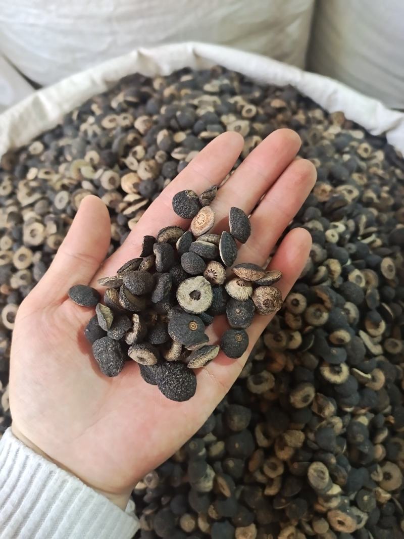 枳实江西枳实酸甜橙对开大小规格齐全地道中药材批发