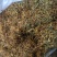 新上市金银花