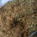 新上市金银花