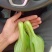 小油菜上海青毛白菜快菜广东菜心黑叶白菠菜，