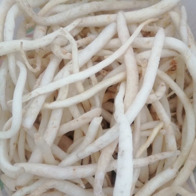 川明参