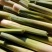 精品茭白已经开始上市采割，规格全，基地价出，一手货源
