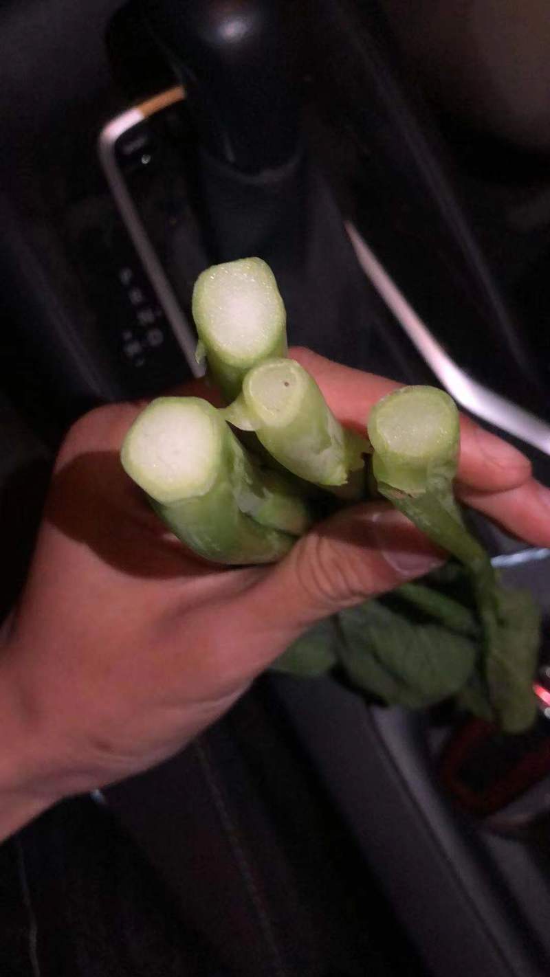 广东菜心了，上海青菜苔，精品货，大量供应食堂，超市