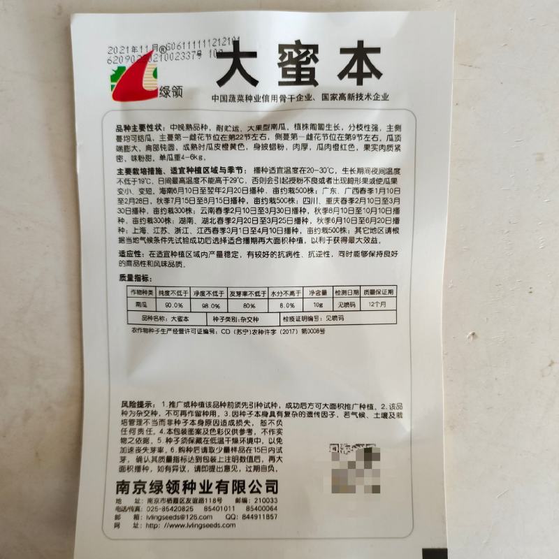 绿领大蜜本南瓜种子超甜粉面蜜本甜南瓜高产耐贮运四季蔬菜种