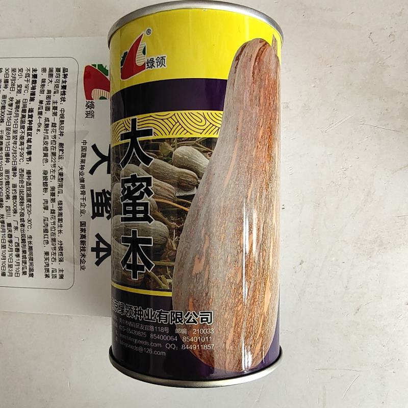 绿领大蜜本南瓜种子超甜粉面蜜本甜南瓜高产耐贮运四季蔬菜种