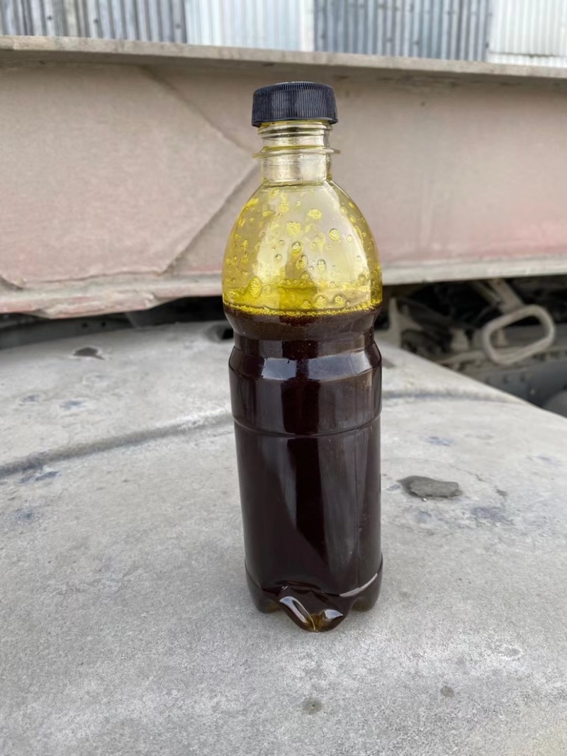 俄罗斯进口非转毛菜籽油，相当于国内四级菜