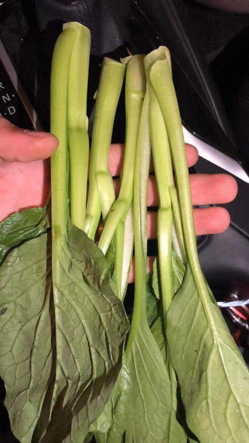 广东菜心了，上海青菜苔，精品货，大量供应食堂，超市