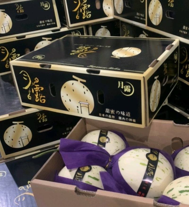 蜜露甜瓜蜜瓜甜瓜.产地供应，电商市场对接欢迎老板采购