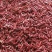 三樱椒8号子弹头高辣