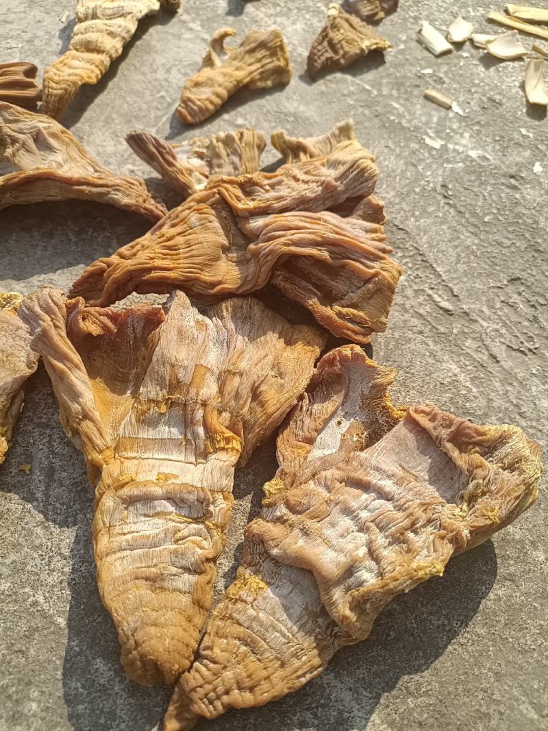 黄笋干