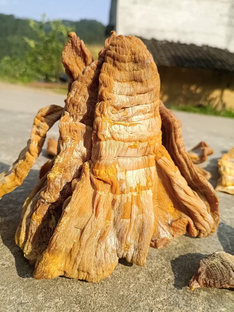 黄笋干