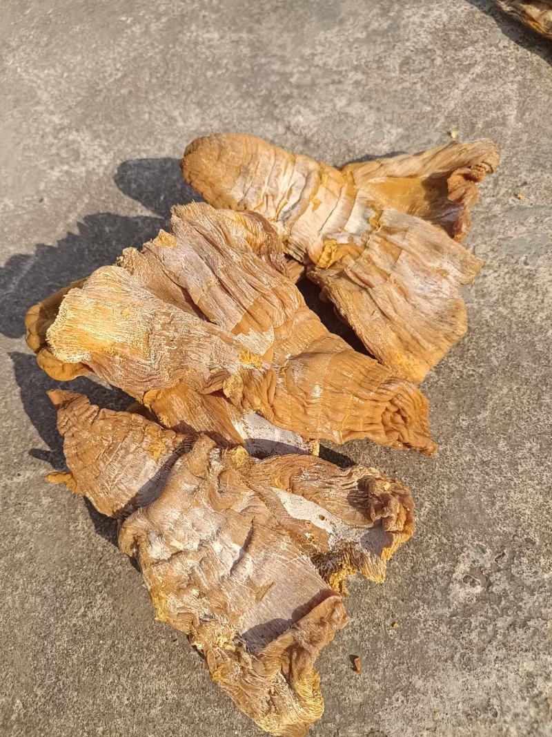黄笋干