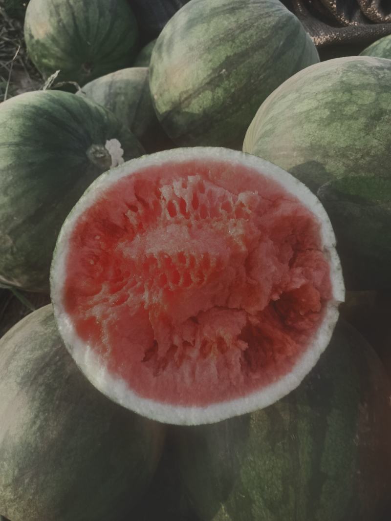 和县彩椒