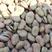 楚雄本地蚕豆干蚕豆850粒白皮黑芽，大量批发，价格随行。