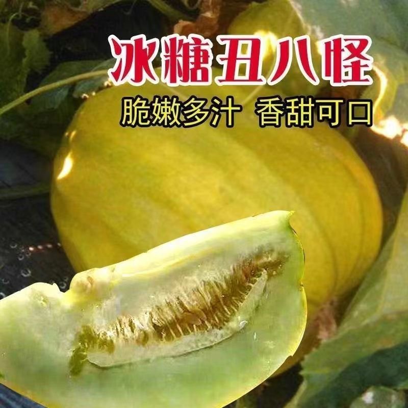 丑八怪香瓜甜瓜种子八方瓜种孑黄皮超甜高产金疙瘩四季播水果