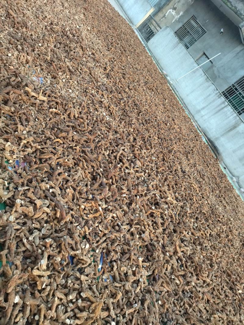多花姜型倒苗黄精干货纯无硫黄精干黄精个子黄精生切片