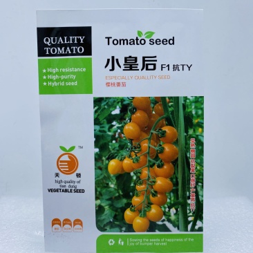 红圣女果种子樱桃小番茄高产蔬菜西红柿种籽子盆栽黄圣女果蔬