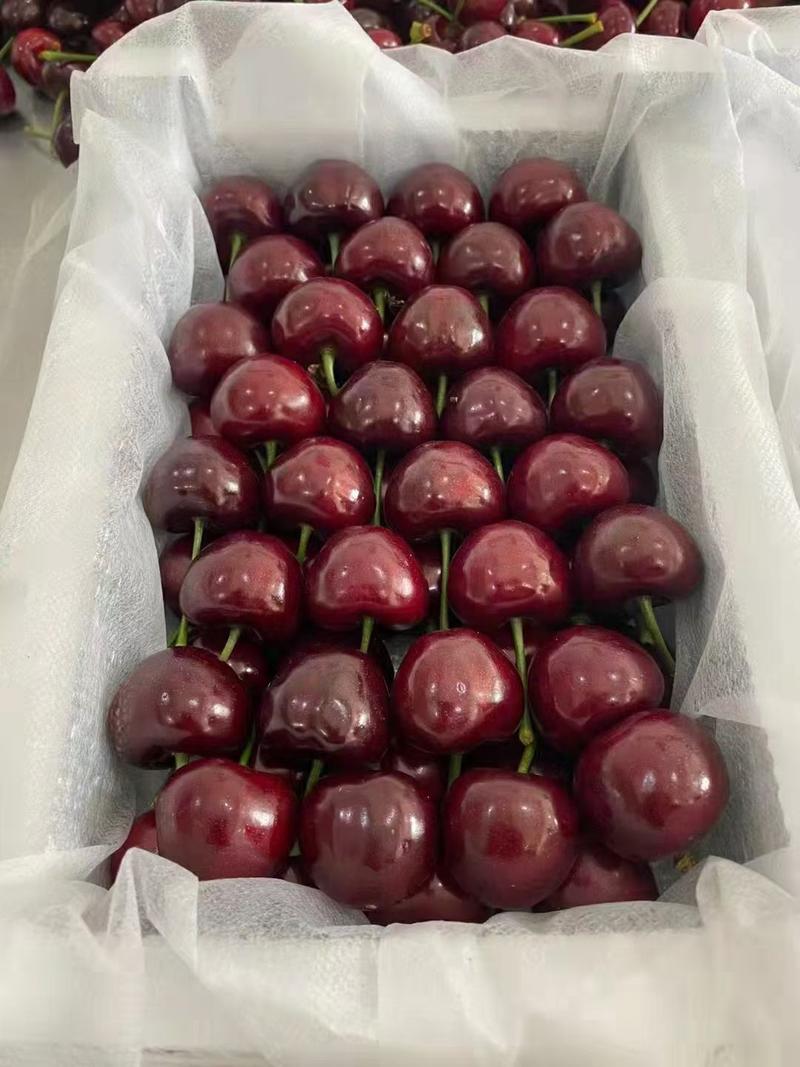 【樱桃】产地大量现货价格便宜，口感脆甜支持全国各地发货。