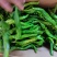 龙椒长度大约20厘米左右。大量有货提供需要的联系