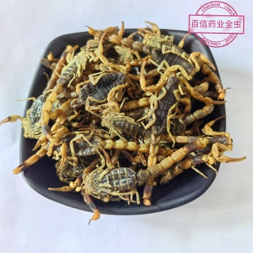 蝎子新货淡盐水全虫颜色好看重在品质物美价廉