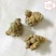 蝎子新货淡盐水全虫颜色好看重在品质物美价廉