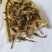蝎子新货淡盐水全虫颜色好看重在品质物美价廉
