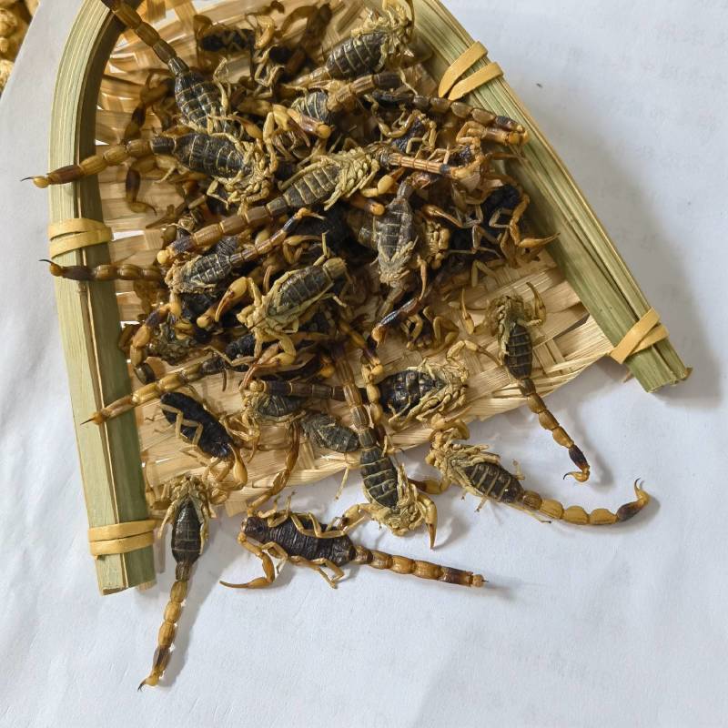 蝎子新货淡盐水全虫颜色好看重在品质物美价廉