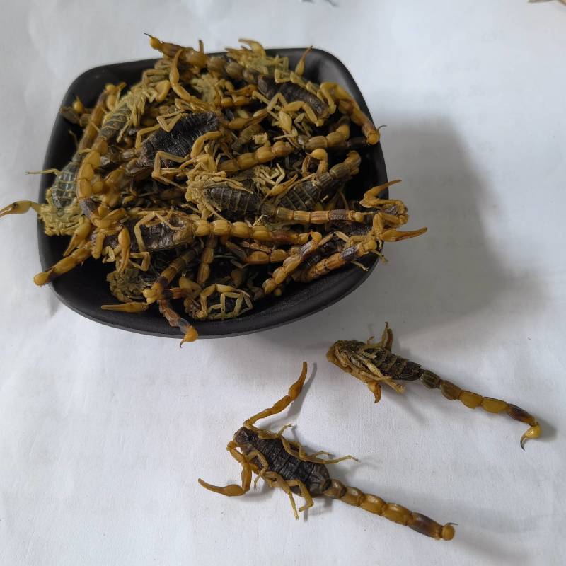 蝎子新货淡盐水全虫颜色好看重在品质物美价廉