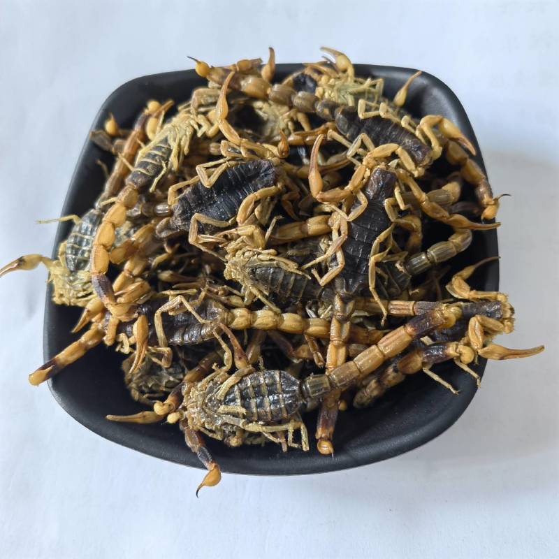 蝎子新货淡盐水全虫颜色好看重在品质物美价廉