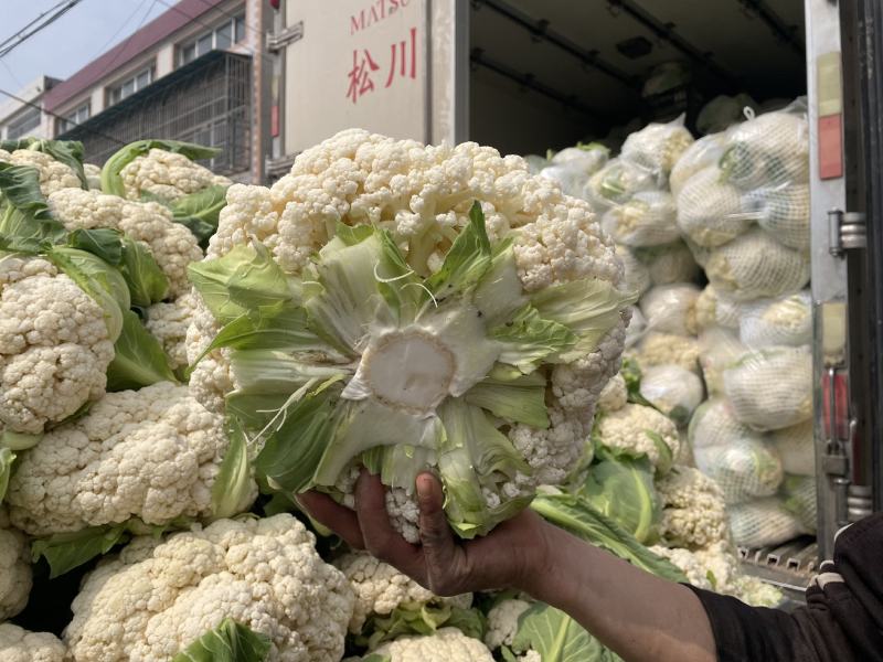 松花菜菜花，有机花菜，看货论价，保质保量，欢迎订购