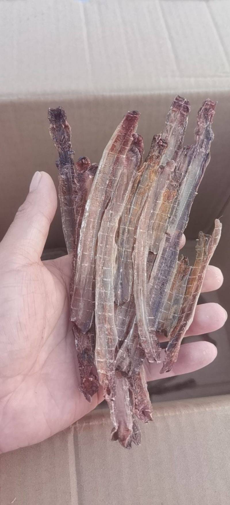精品全开地龙