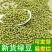解暑绿豆种子优质高产绿豆种籽耐旱耐高温早熟绿豆种子绿豆芽