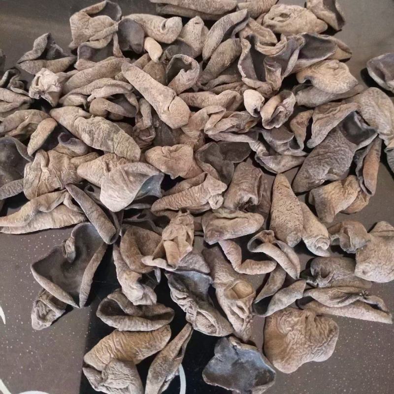 东北秋耳肉厚无根单片口感筋道支持一件代发