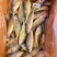 出口标准黄花鱼，60克以上，各种规格都有，大量有货