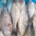 三去冻鲈鱼