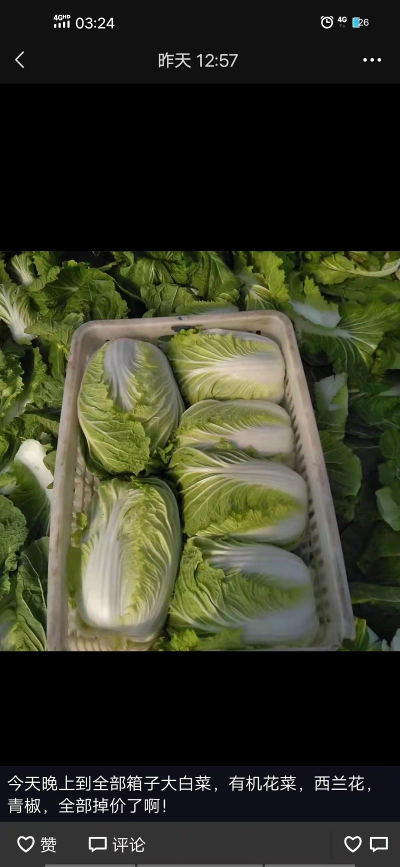 大白菜玲珑黄大白菜黄芯5-6斤代发全国