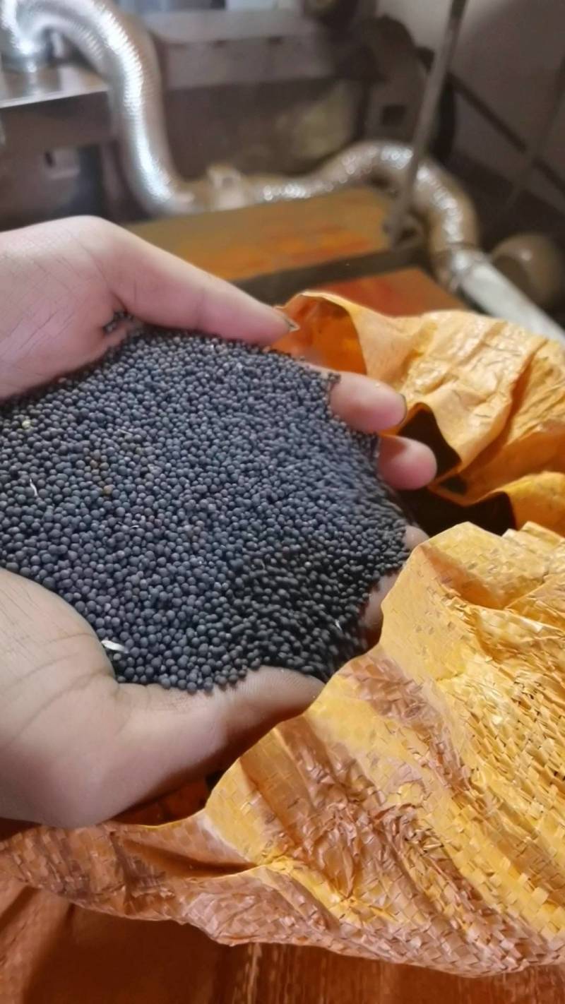 潼南小榨菜籽油