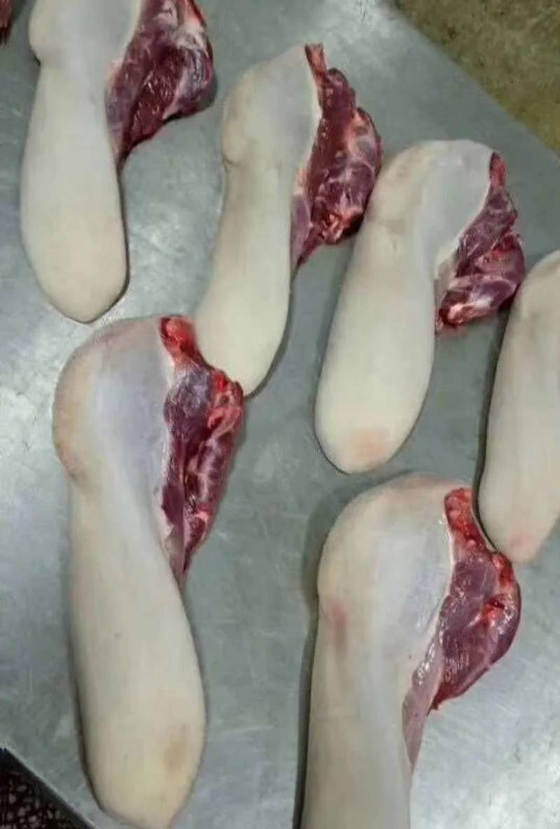 新鲜牛舌头