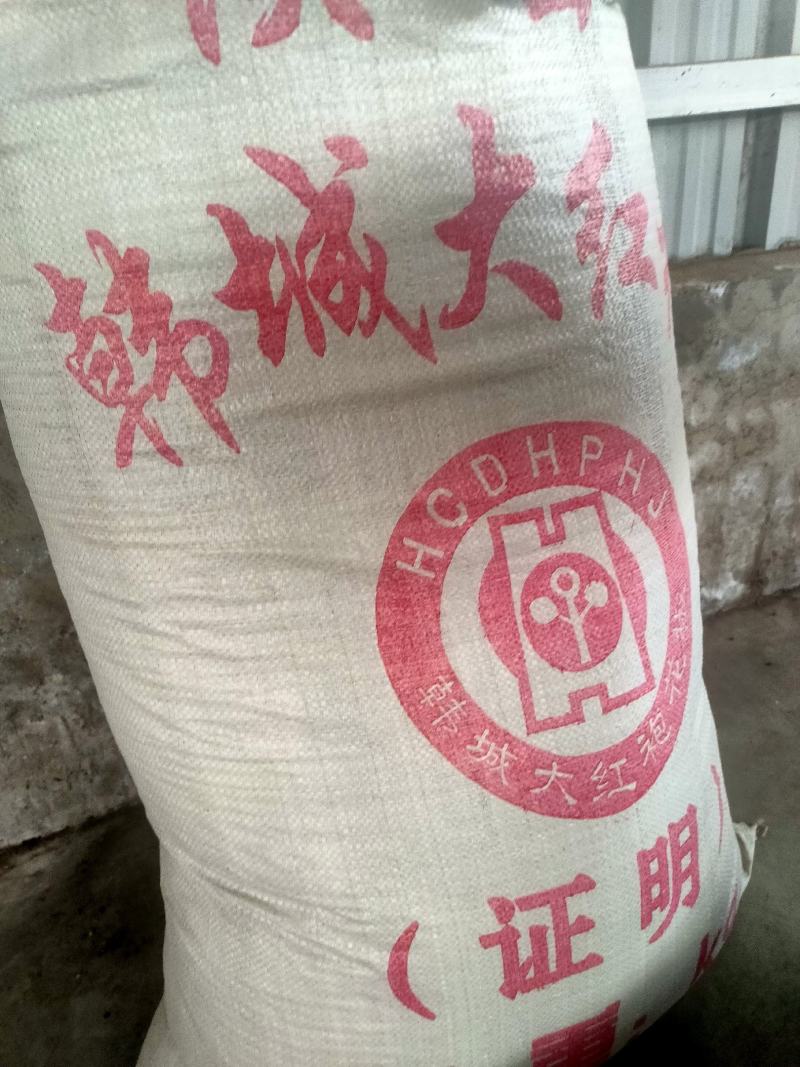 【包邮】陕西优质大红袍花椒香麻量大价优保质保量欢迎选