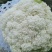 精品松花
