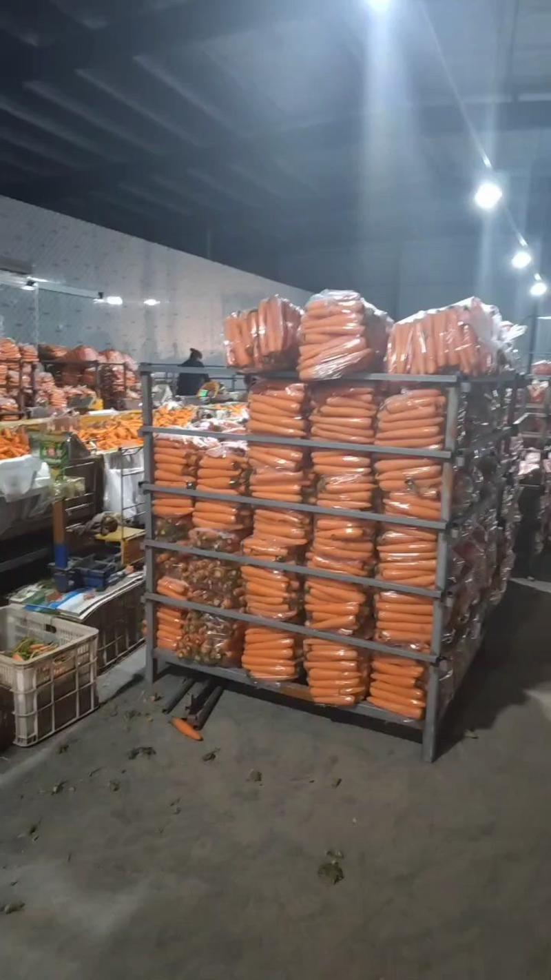 【胡萝卜】三红胡萝卜产地直供保质保量看货论价